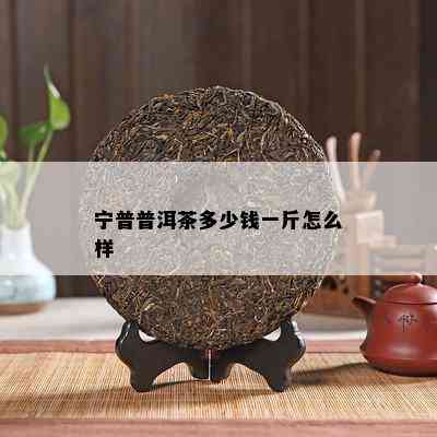 宁普普洱茶多少钱一斤怎么样