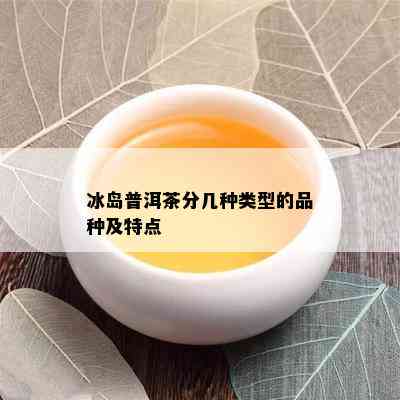 冰岛普洱茶分几种类型的品种及特点