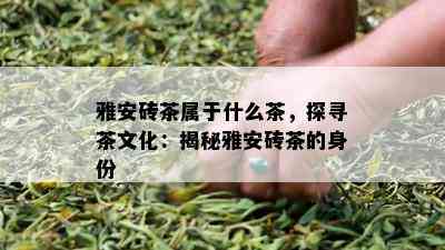 雅安砖茶属于什么茶，探寻茶文化：揭秘雅安砖茶的身份