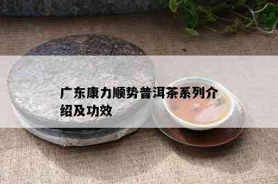 广东康力顺势普洱茶系列介绍及功效