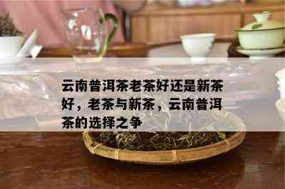 云南普洱茶老茶好还是新茶好，老茶与新茶，云南普洱茶的选择之争