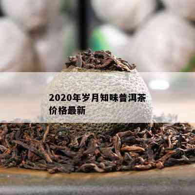 2020年岁月知味普洱茶价格最新