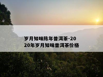 岁月知味陈年普洱茶-2020年岁月知味普洱茶价格