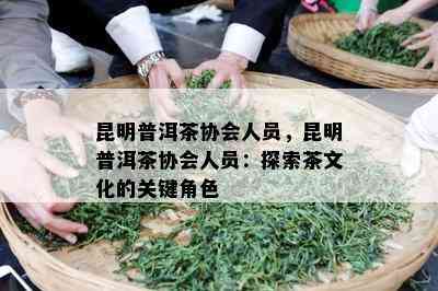 昆明普洱茶协会人员，昆明普洱茶协会人员：探索茶文化的关键角色