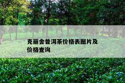 克丽舍普洱茶价格表图片及价格查询