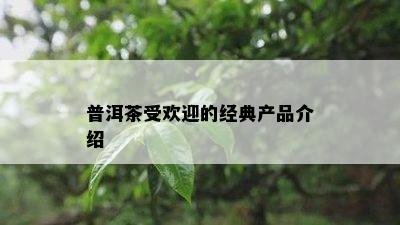 普洱茶受欢迎的经典产品介绍