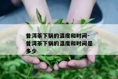 普洱茶下锅的温度和时间-普洱茶下锅的温度和时间是多少