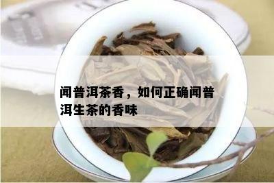 闻普洱茶香，如何正确闻普洱生茶的香味