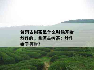 普洱古树茶是什么时候开始炒作的，普洱古树茶：炒作始于何时？