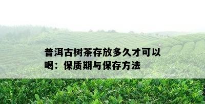 普洱古树茶存放多久才可以喝：保质期与保存方法