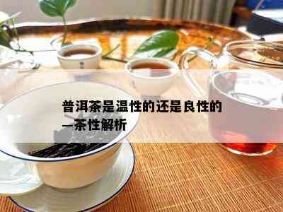 普洱茶是温性的还是良性的—茶性解析