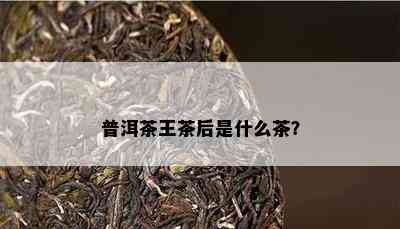 普洱茶王茶后是什么茶？