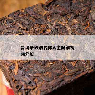 普洱茶级别名称大全图解视频介绍