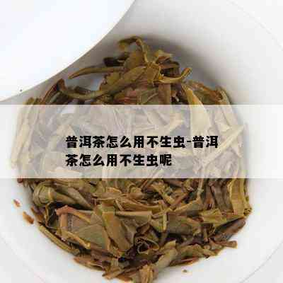 普洱茶怎么用不生虫-普洱茶怎么用不生虫呢