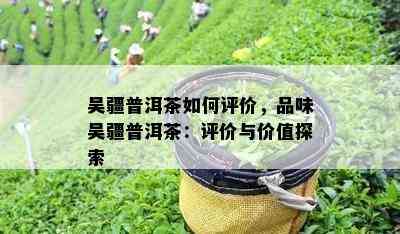 吴疆普洱茶如何评价，品味吴疆普洱茶：评价与价值探索