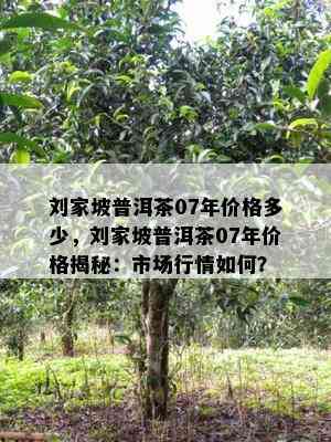 刘家坡普洱茶07年价格多少，刘家坡普洱茶07年价格揭秘：市场行情如何？