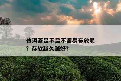 普洱茶是不是不容易存放呢？存放越久越好？