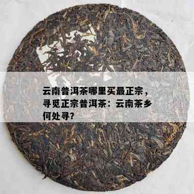 云南普洱茶哪里买最正宗，寻觅正宗普洱茶：云南茶乡何处寻？