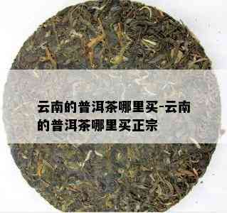 云南的普洱茶哪里买-云南的普洱茶哪里买正宗