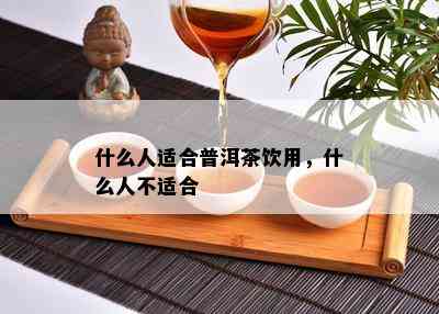 什么人适合普洱茶饮用，什么人不适合