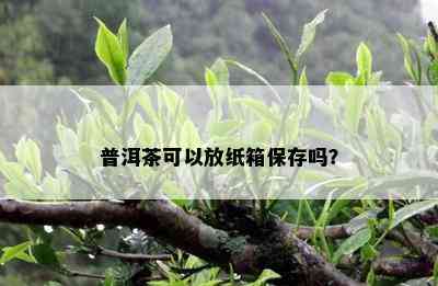 普洱茶可以放纸箱保存吗？