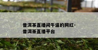 普洱茶直播间牛逼的网红-普洱茶直播平台