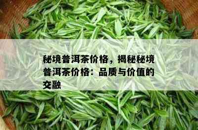 秘境普洱茶价格，揭秘秘境普洱茶价格：品质与价值的交融