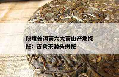 秘境普洱茶六大茶山产地探秘：古树茶源头揭秘