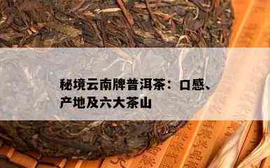 秘境云南牌普洱茶：口感、产地及六大茶山