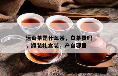 远山茶是什么茶，白茶贵吗，罐装礼盒装，产自哪里