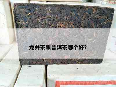 龙井茶跟普洱茶哪个好？