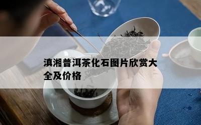 滇湘普洱茶化石图片欣赏大全及价格