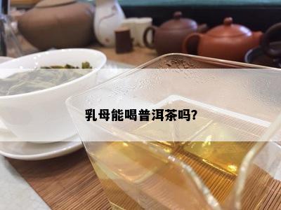 乳母能喝普洱茶吗？