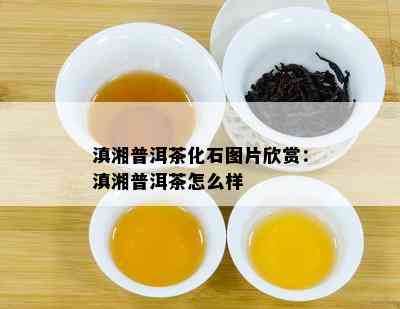 滇湘普洱茶化石图片欣赏：滇湘普洱茶怎么样