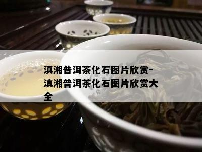 滇湘普洱茶化石图片欣赏-滇湘普洱茶化石图片欣赏大全