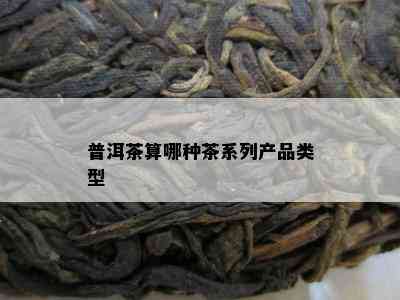 普洱茶算哪种茶系列产品类型