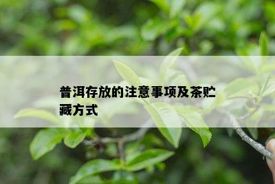 普洱存放的注意事项及茶贮藏方式