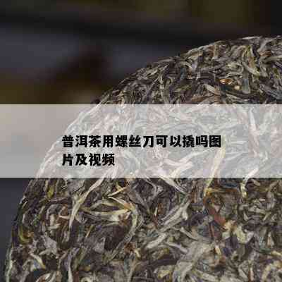 普洱茶用螺丝刀可以撬吗图片及视频