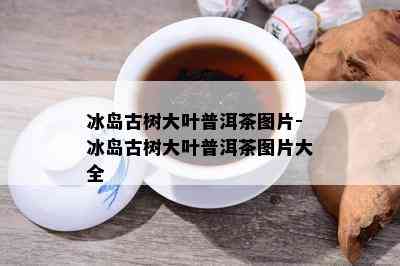 冰岛古树大叶普洱茶图片-冰岛古树大叶普洱茶图片大全