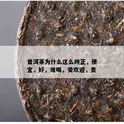 普洱茶为什么这么纯正，便宜，好，难喝，受欢迎，贵