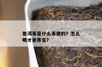 普洱茶是什么茶做的？怎么喝才更养生？