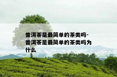 普洱茶是最简单的茶类吗-普洱茶是最简单的茶类吗为什么