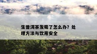 生普洱茶发霉了怎么办？处理方法与饮用安全