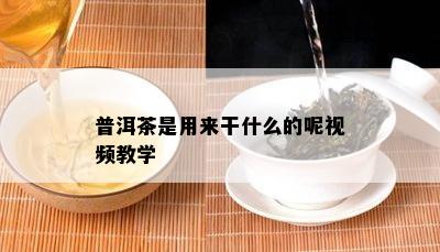 普洱茶是用来干什么的呢视频教学