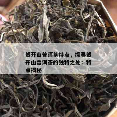 贺开山普洱茶特点，探寻贺开山普洱茶的独特之处：特点揭秘