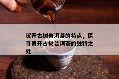 贺开古树普洱茶的特点，探寻贺开古树普洱茶的独特之处