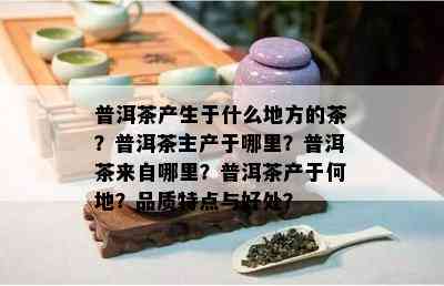 普洱茶产生于什么地方的茶？普洱茶主产于哪里？普洱茶来自哪里？普洱茶产于何地？品质特点与好处？