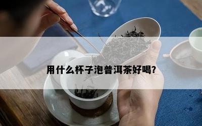 用什么杯子泡普洱茶好喝？