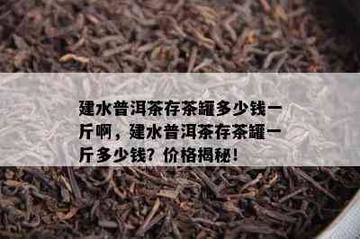 建水普洱茶存茶罐多少钱一斤啊，建水普洱茶存茶罐一斤多少钱？价格揭秘！