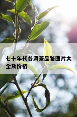 七十年代普洱茶品鉴图片大全及价格